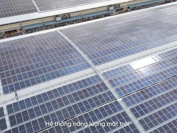 ENVIRONMENTAL ENVIRONMENTAL